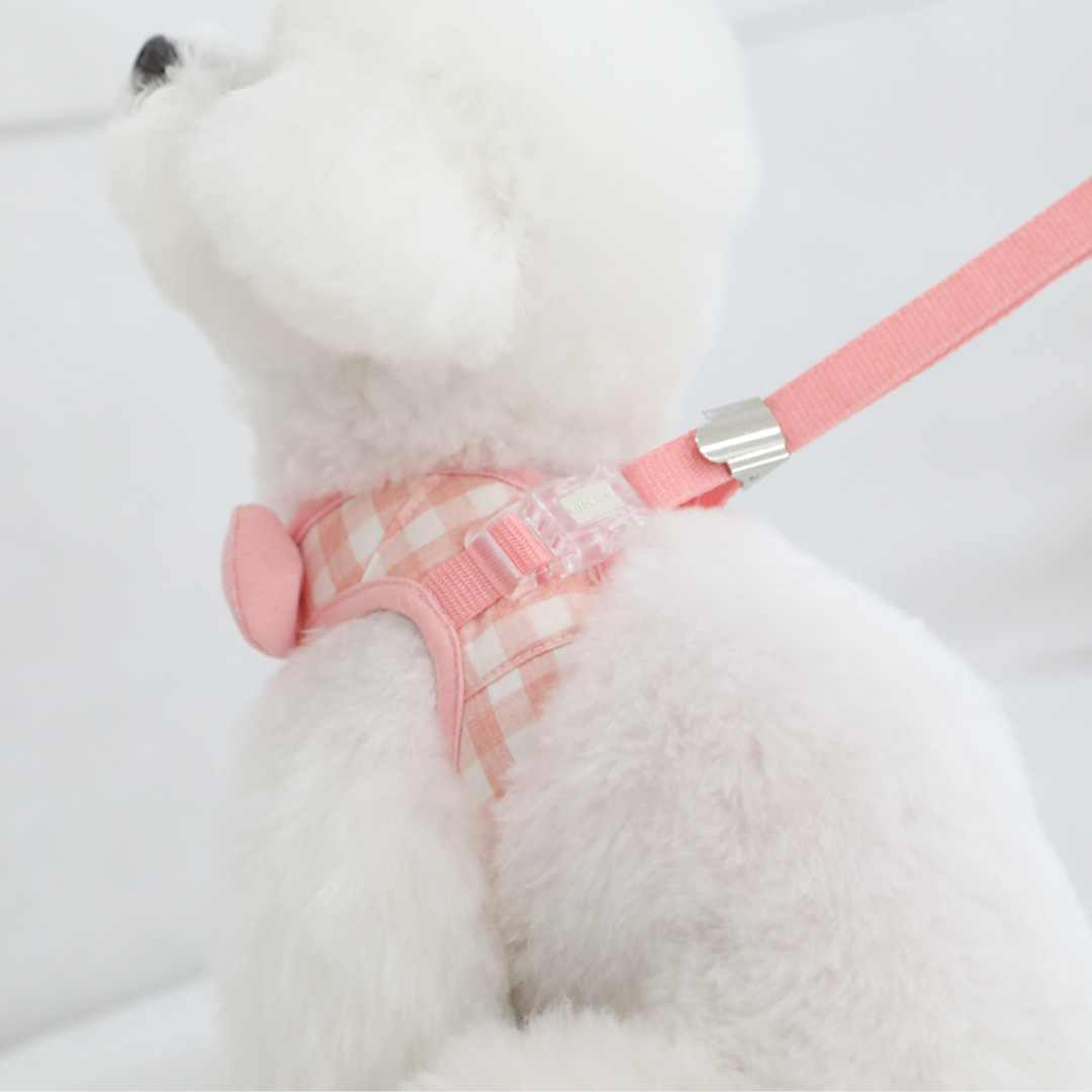 Smiley Teddy Bear Harness