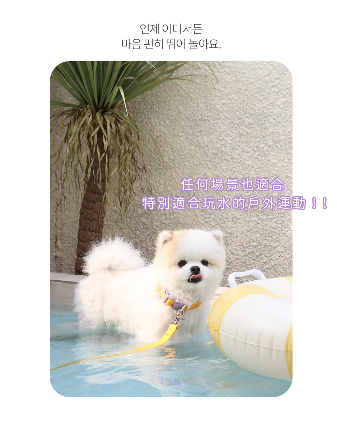 馬卡龍 防水頸圈