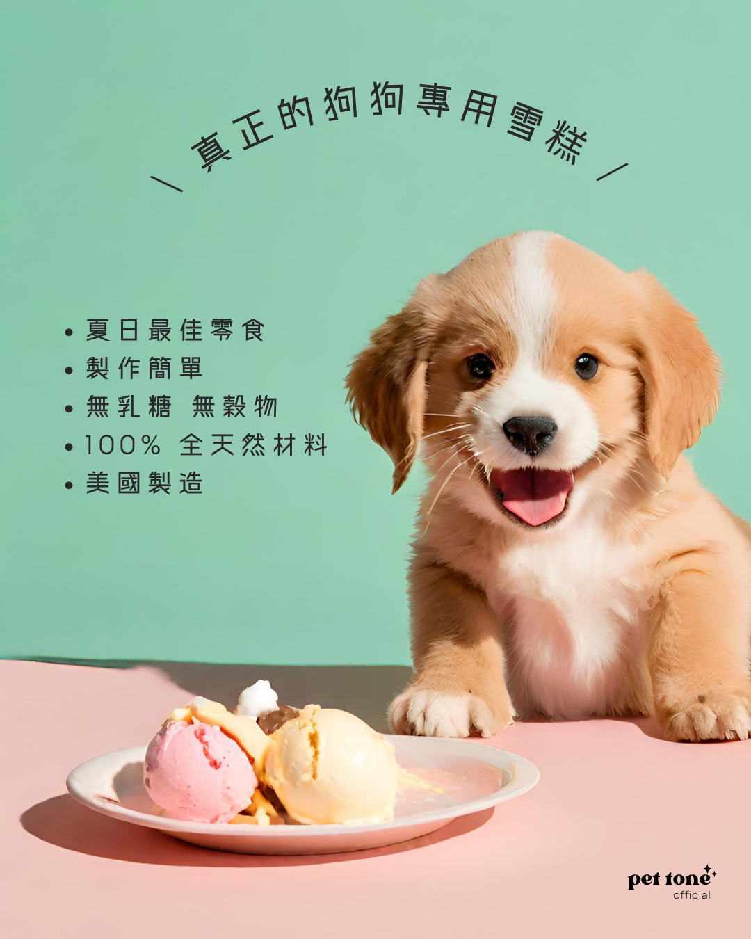 Ice Cream Mix Pack Dog Treat