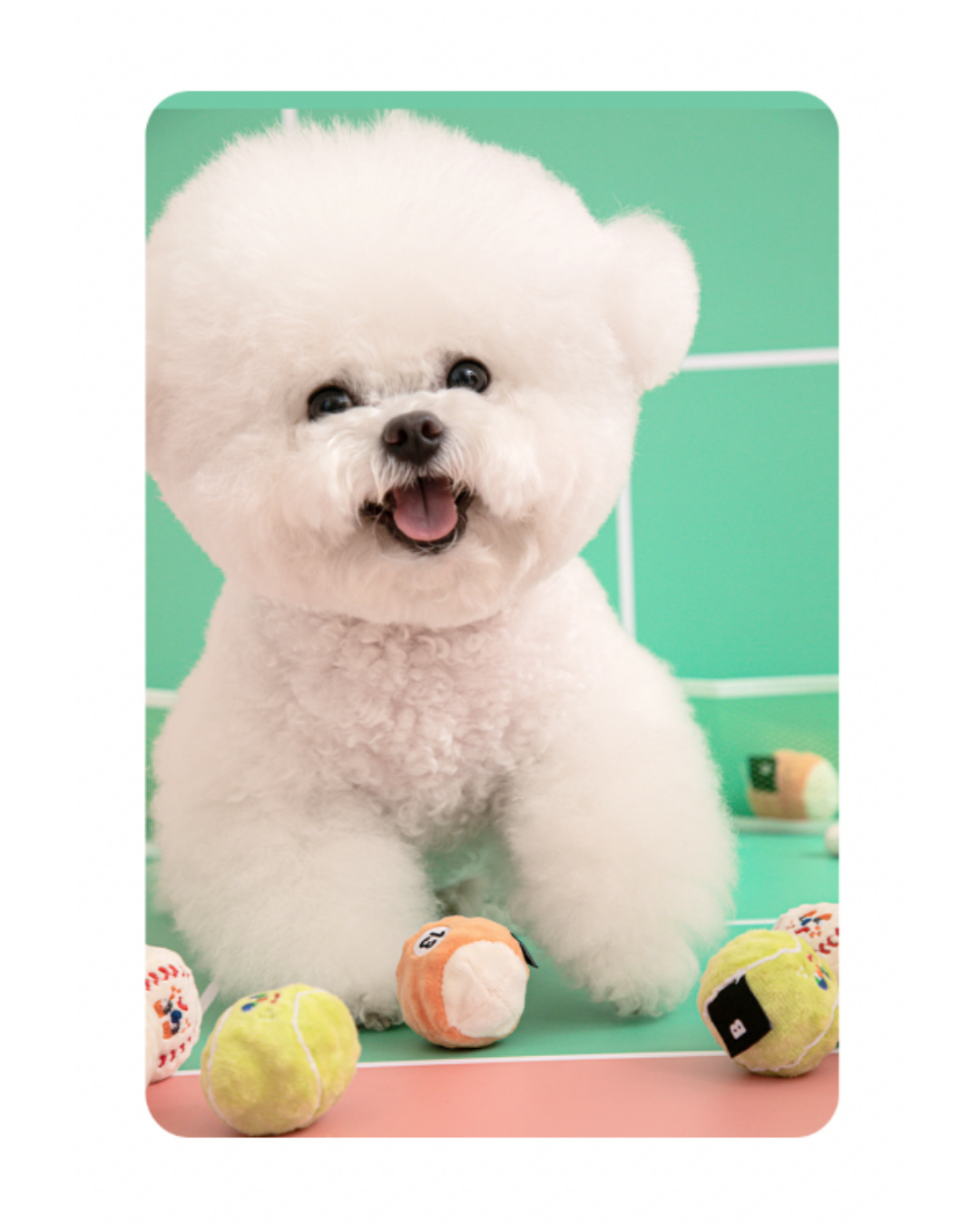 Pet Bouncing Balls (3-Pack)