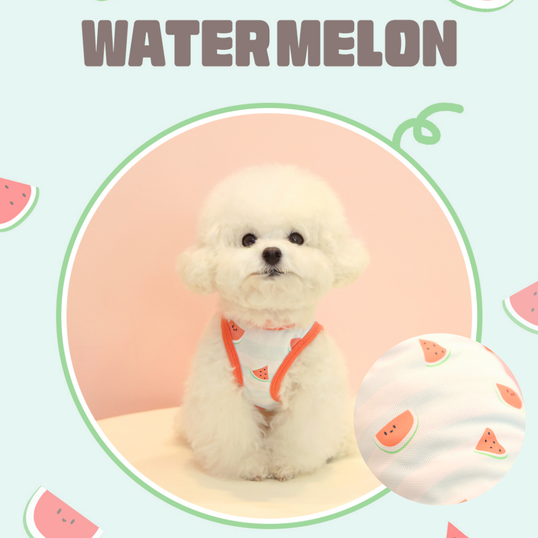 Summer Fruit Cooling Vest