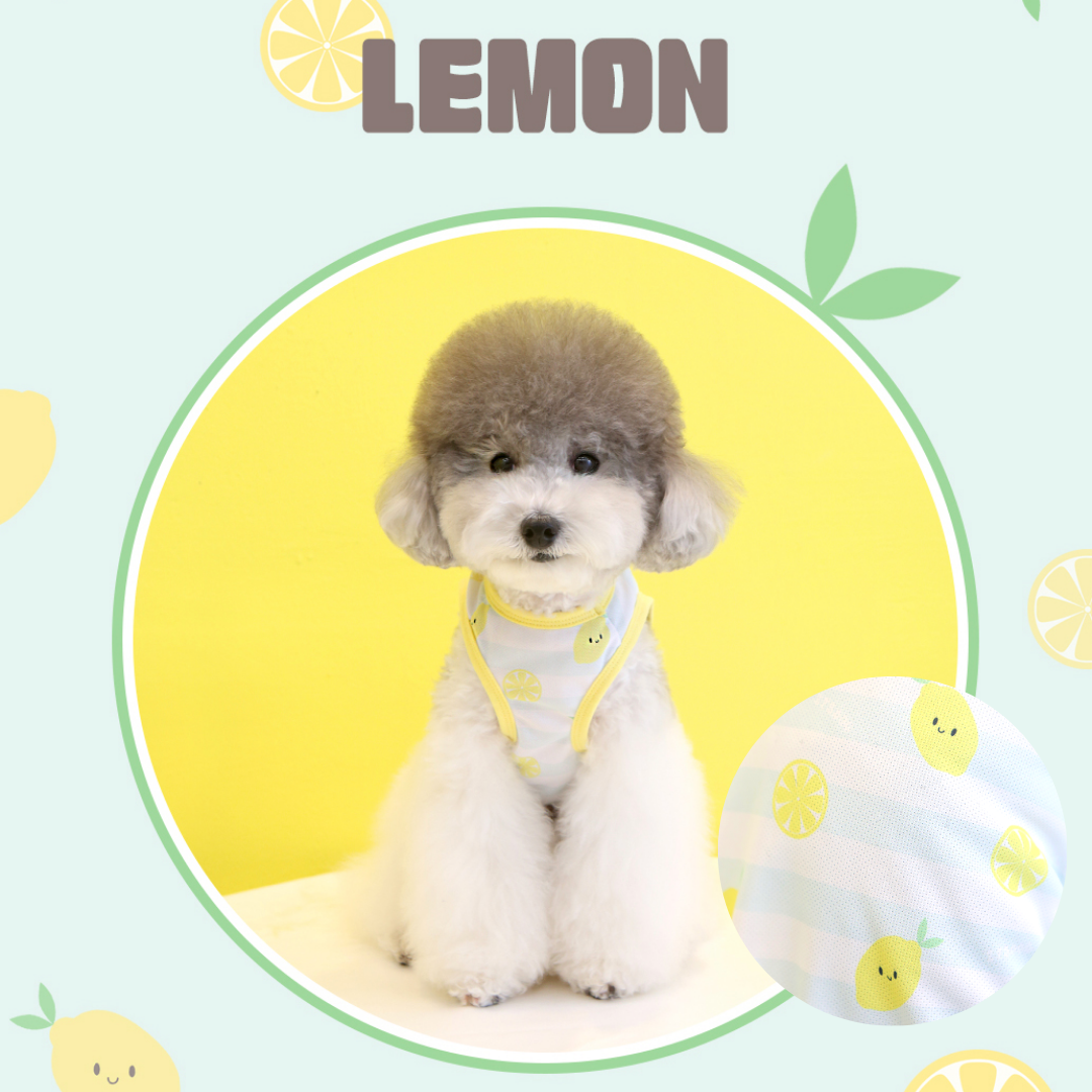 Summer Fruit Cooling Vest