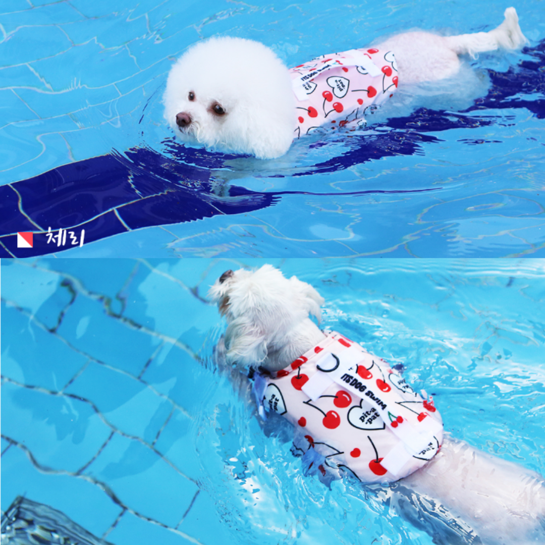 Summer Fruit Pet Life Jacket