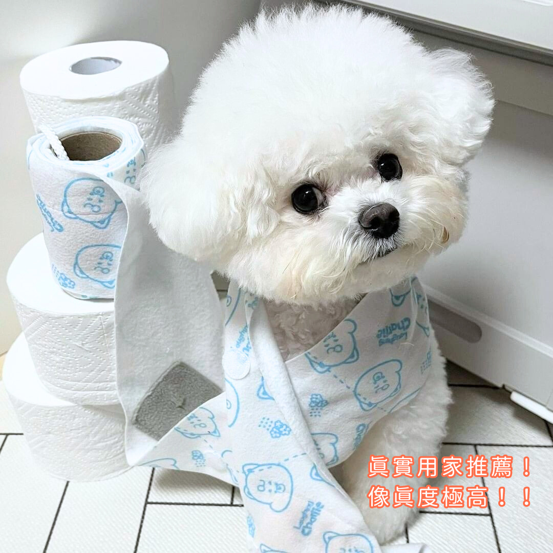 Toilet Paper Nose Work Pet Toy