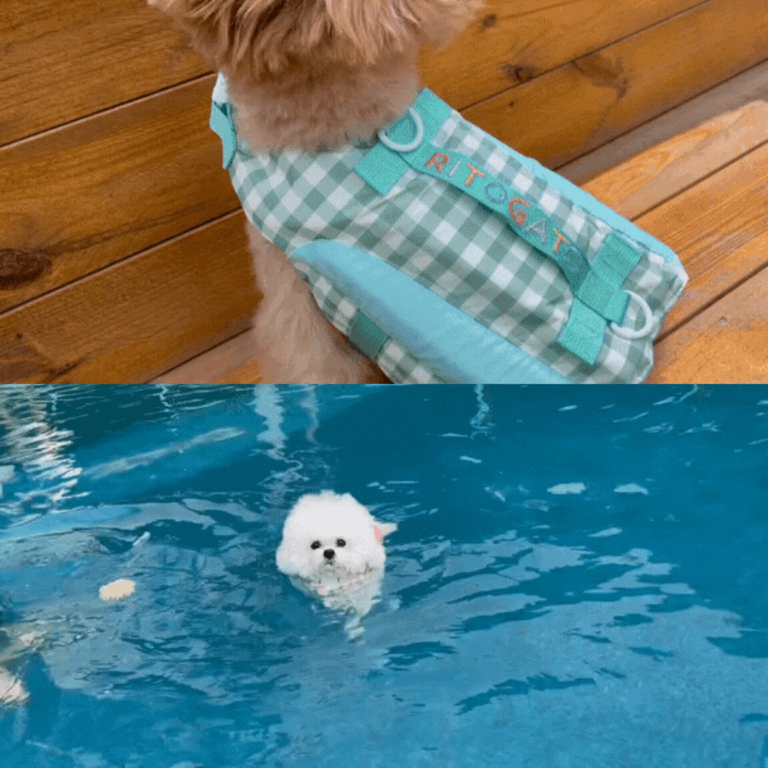 Lollipop Dog Life Jacket