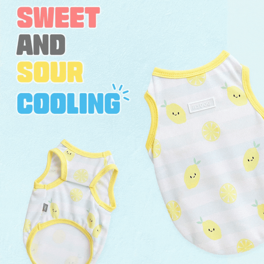 Summer Fruit Cooling Vest