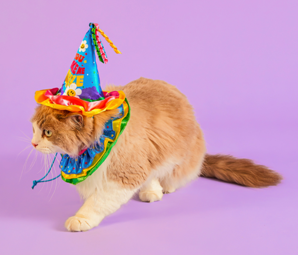 Fun Ribbon Birthday Party Kit