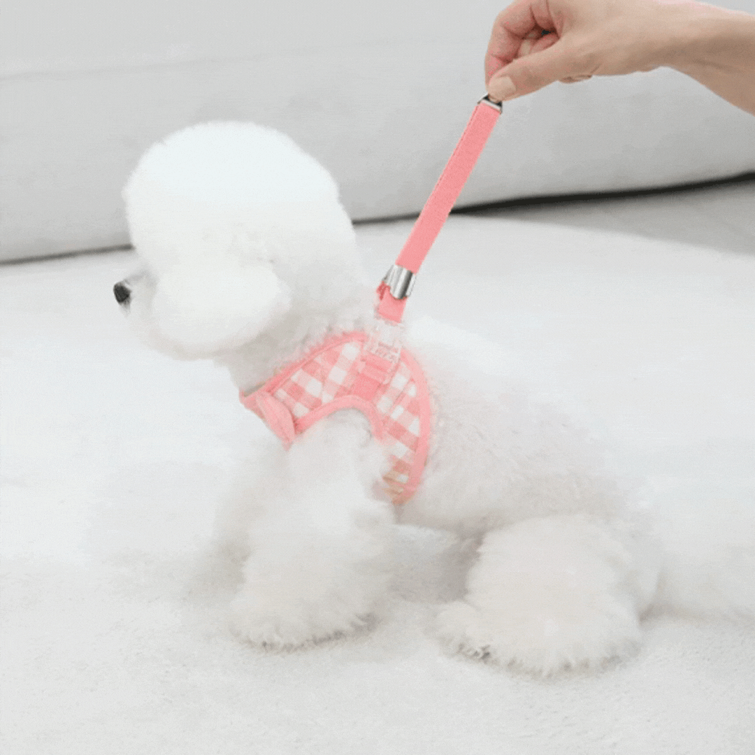 Smiley Teddy Bear Harness