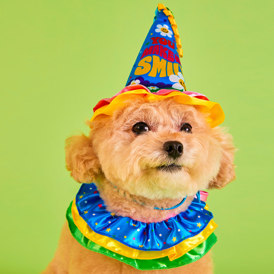 Fun Ribbon Birthday Party Kit