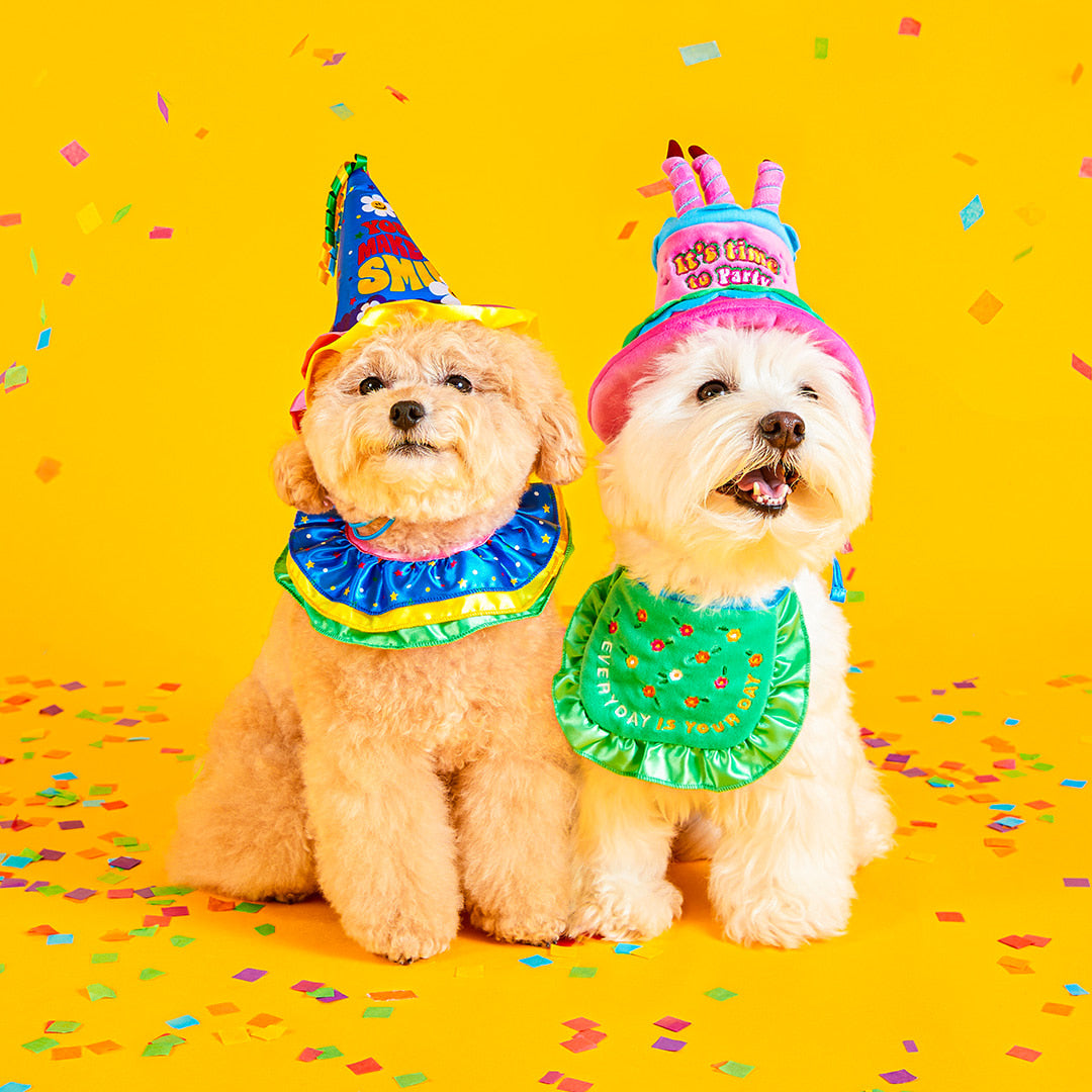 Fun Ribbon Birthday Party Kit
