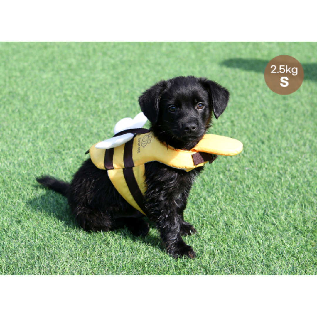 Honey Bee Pet Life Jacket