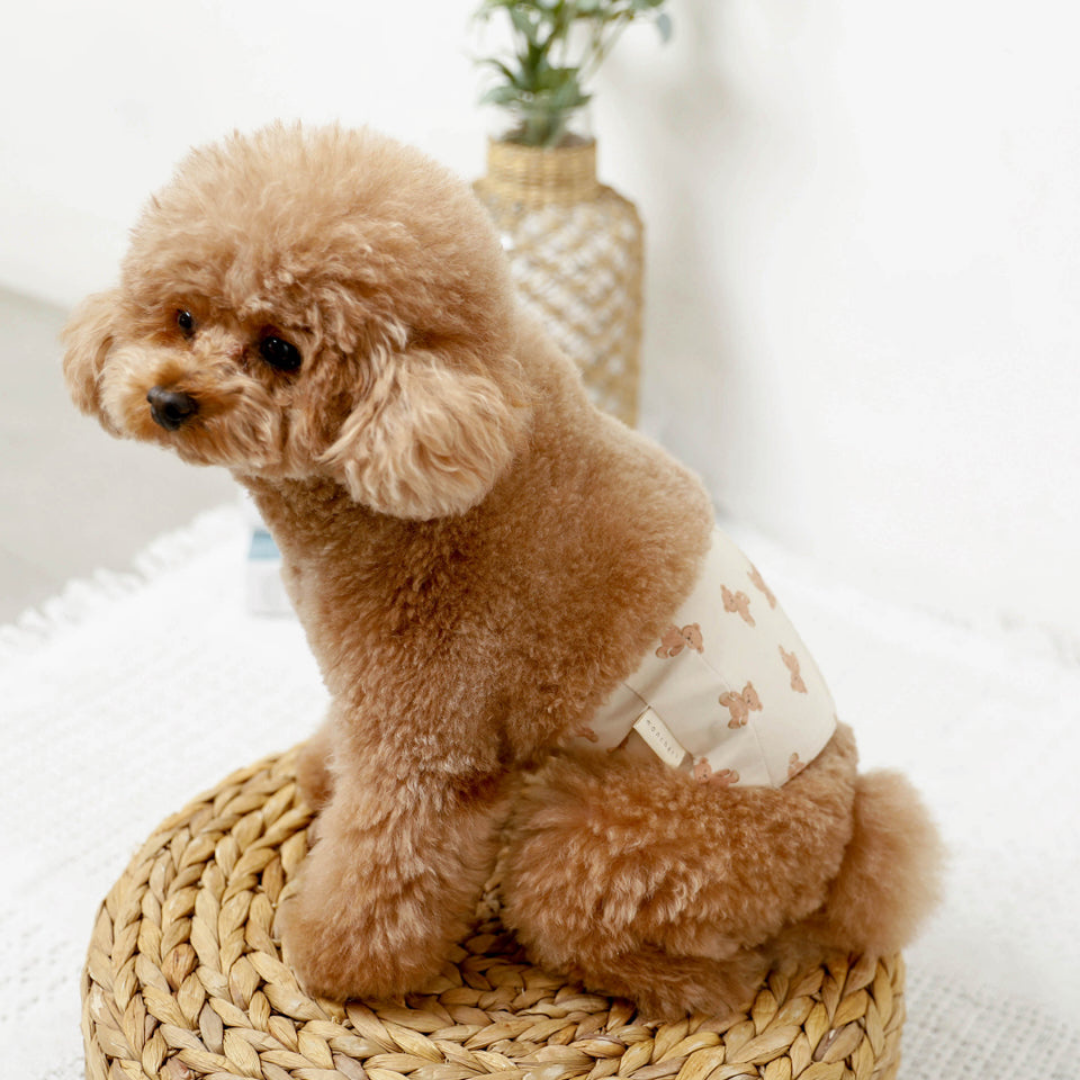 Teddy Bear Dog Sanitary Pants (boy)