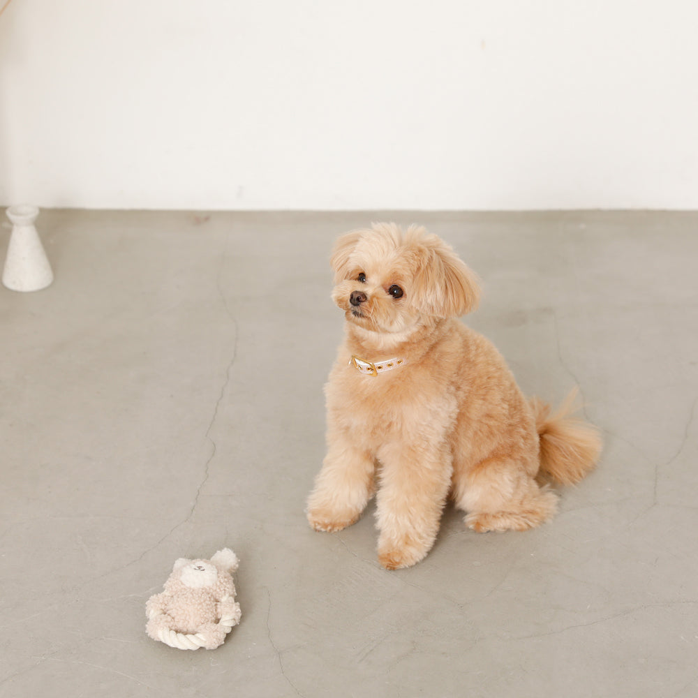 Rabbit Rope Pet Toy
