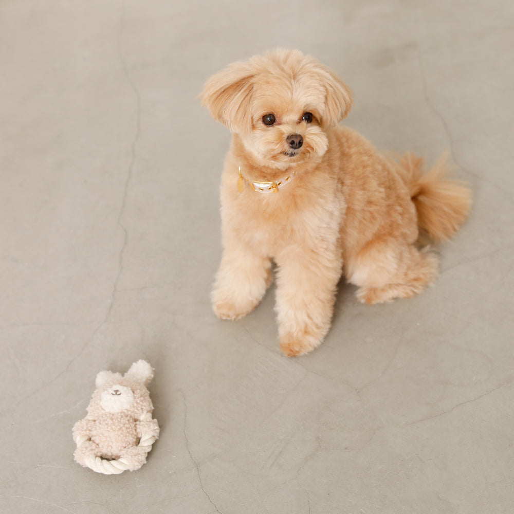 Rabbit Rope Pet Toy