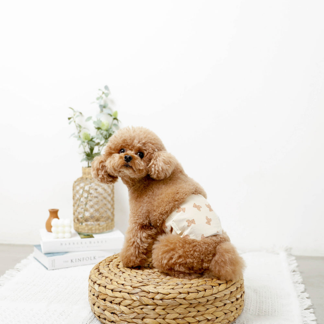 Teddy Bear Dog Sanitary Pants (boy)