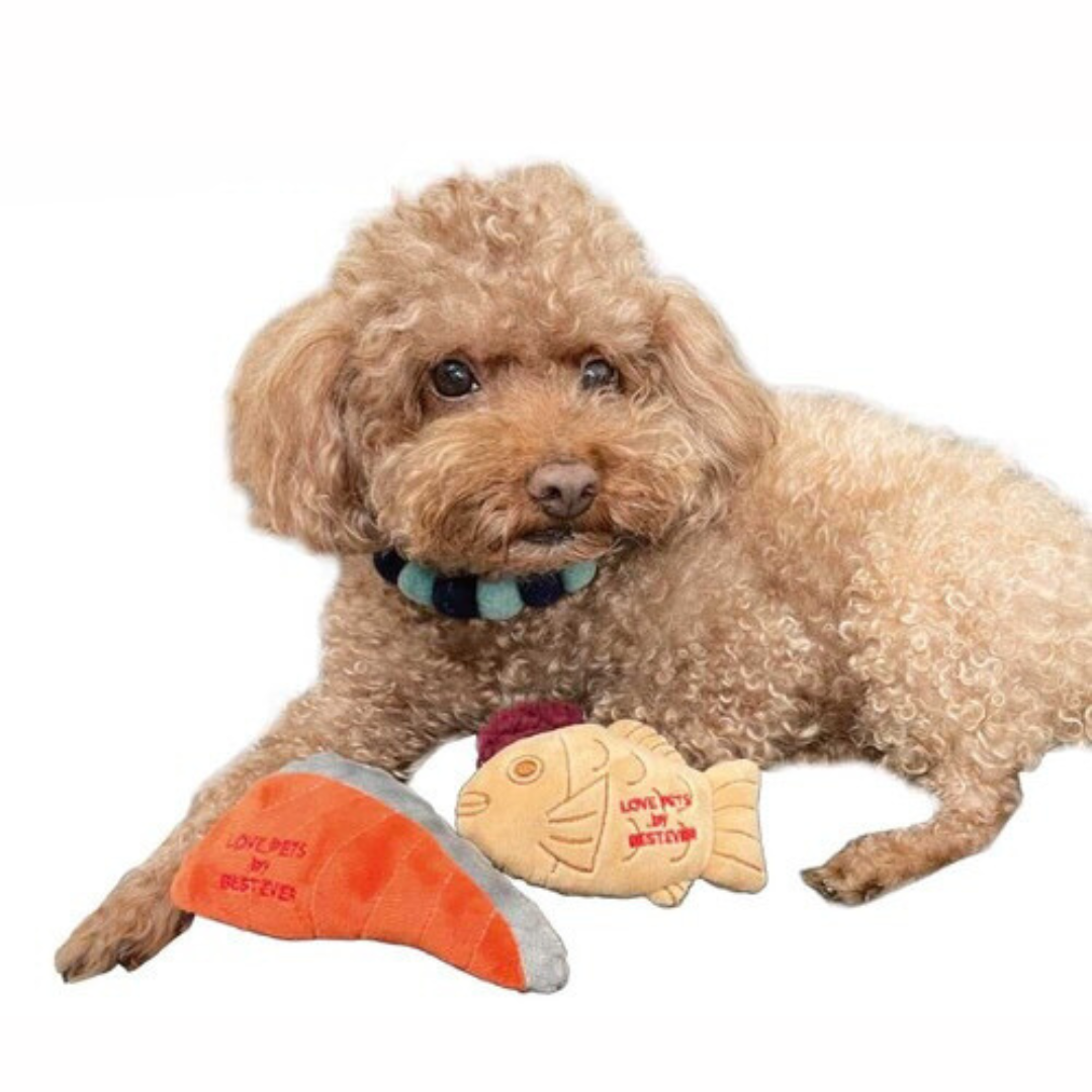 Fish-shaped Cake Dog Toy