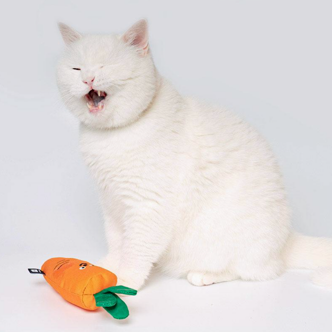 Carrot Catnip Toy