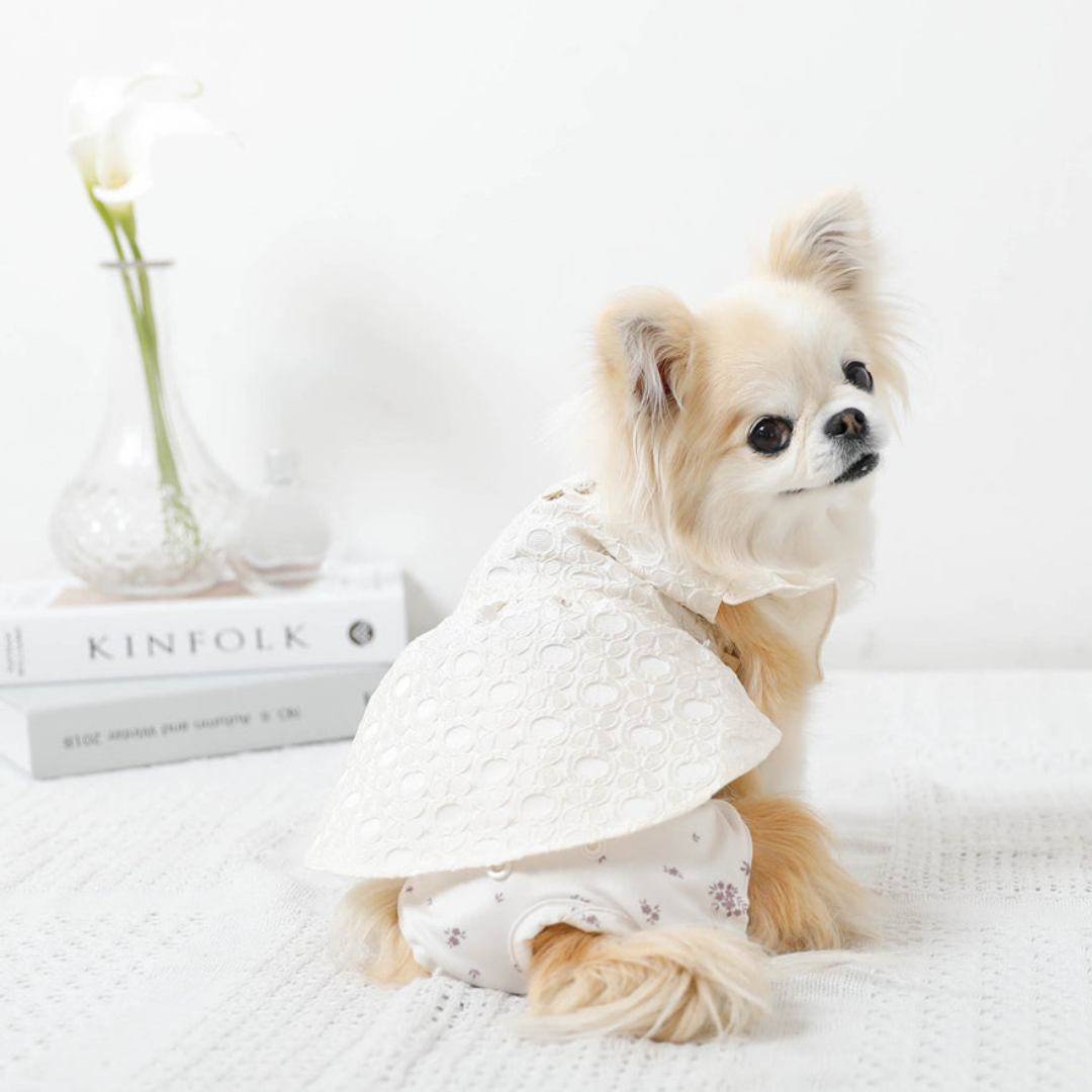 Natural Flower Dog Sanitary Pants (girl)