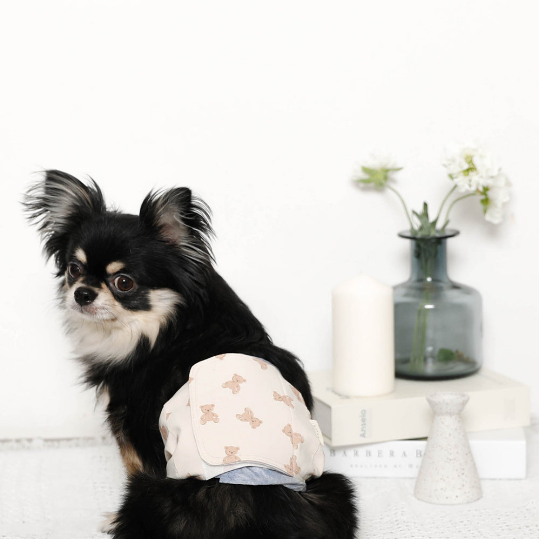 Teddy Bear Dog Sanitary Pants (boy)