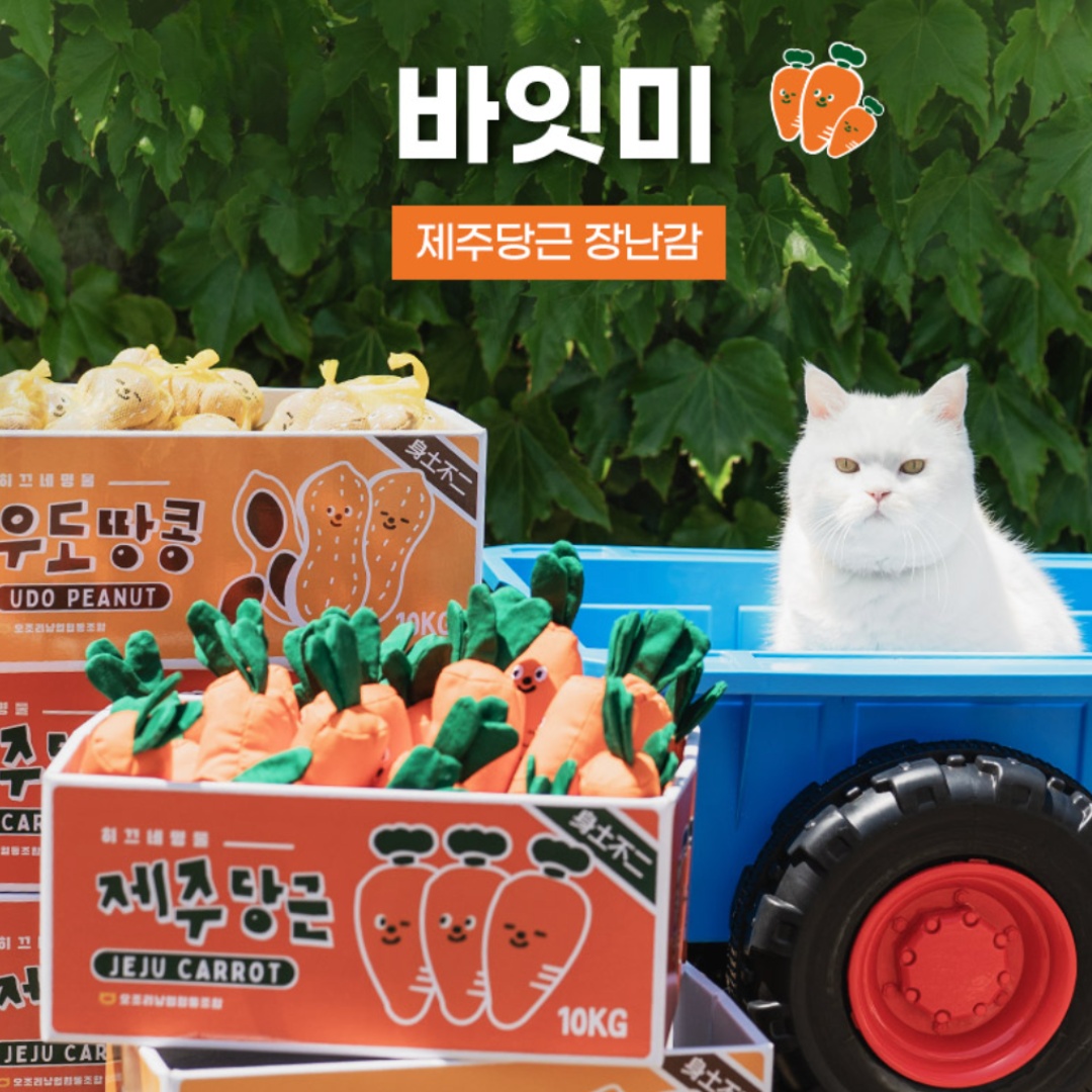 Carrot Catnip Toy