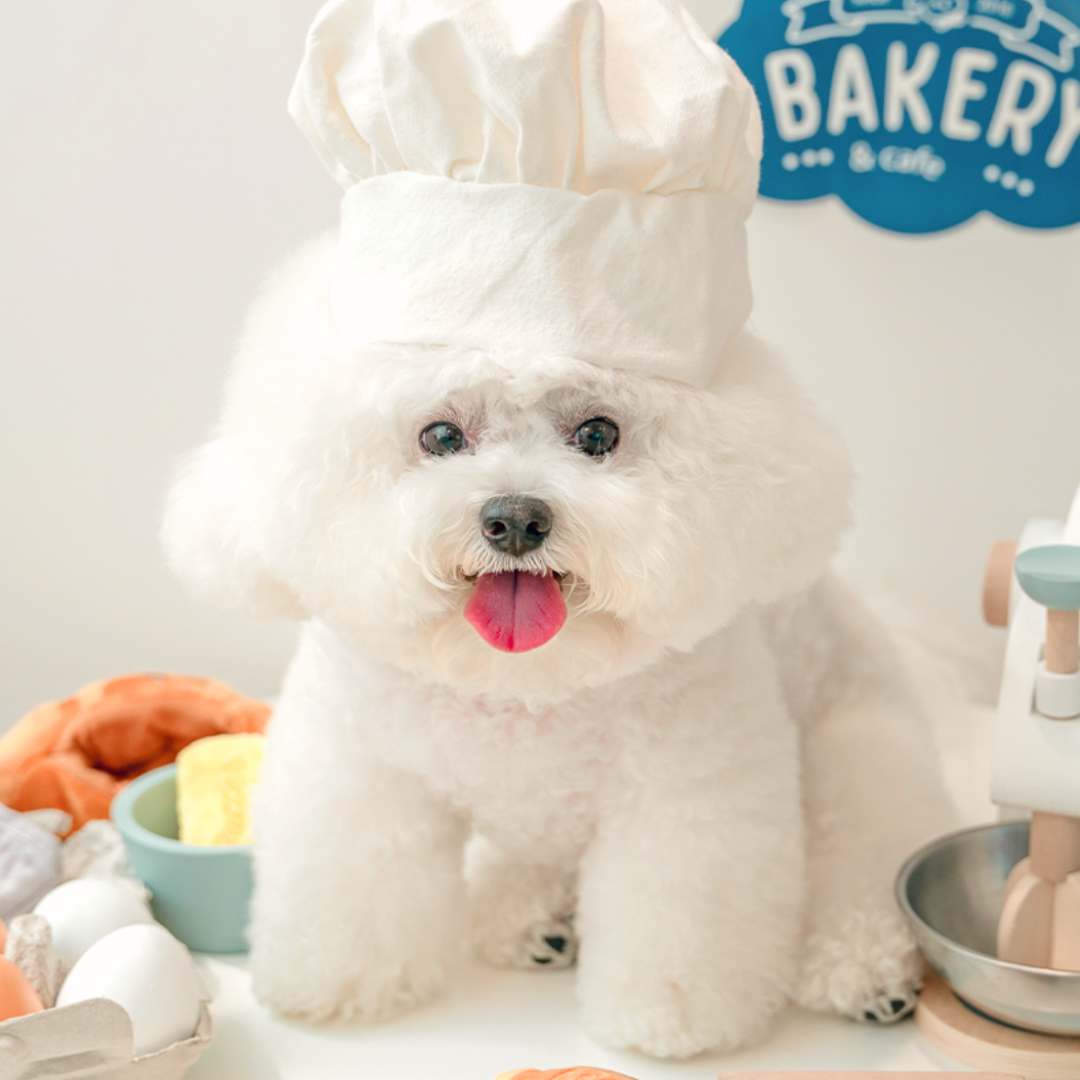 Croissant Nose Work Pet Toy