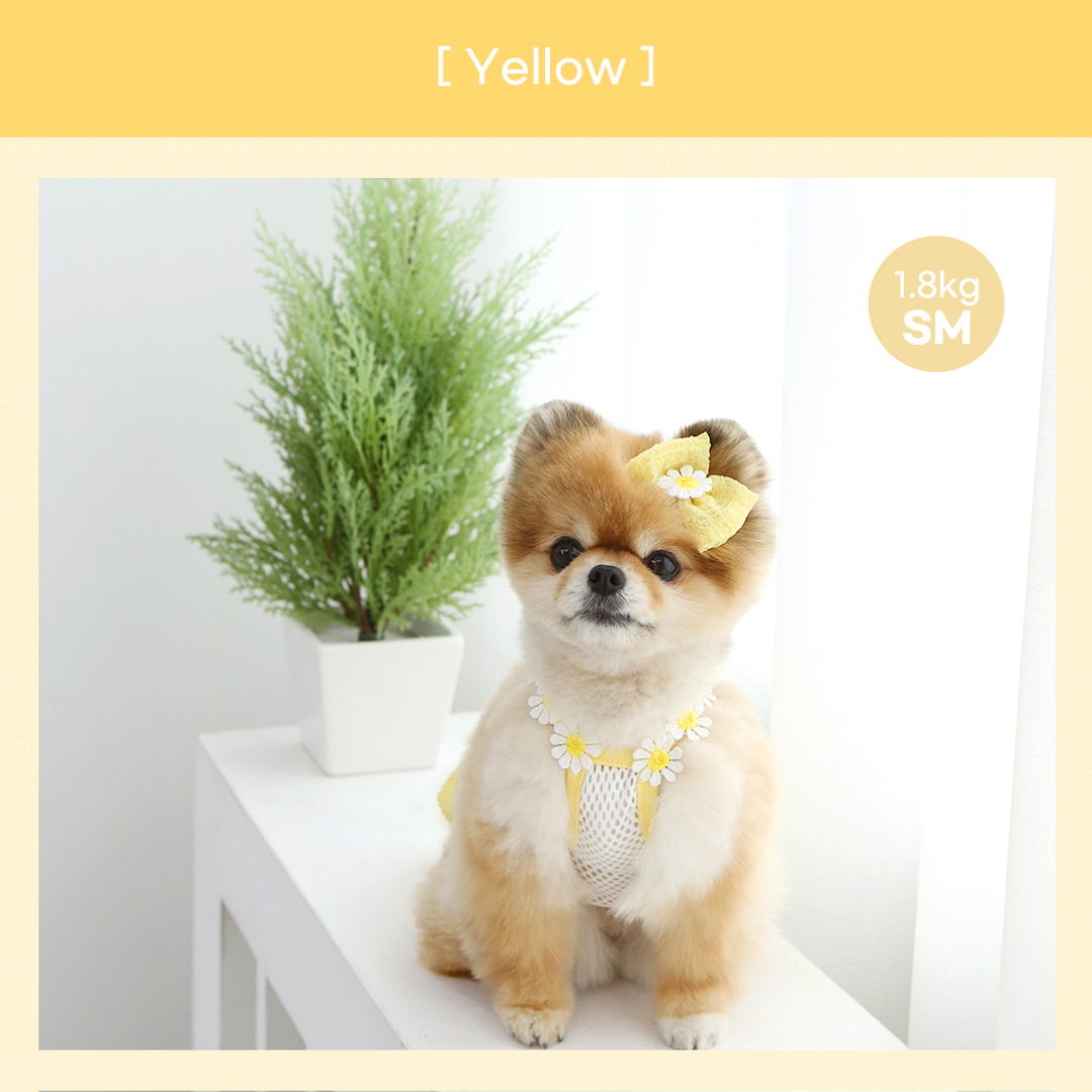 Daisy Balloon Pet Dress