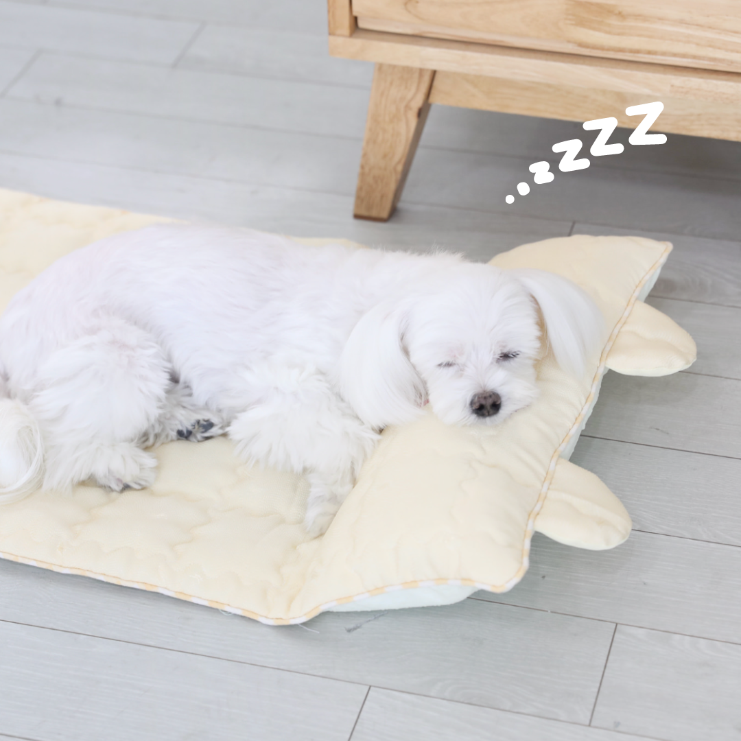 Smiley Bear Pet Cooling Mat (Single Color)