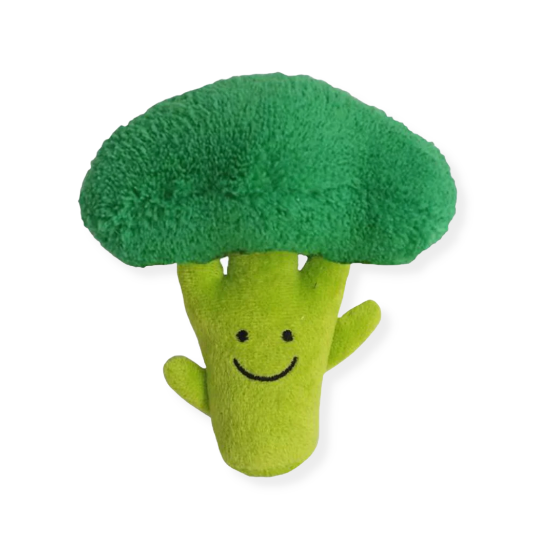 Vegetable Collection - Broccoli Dog Toy – Pet Tone Official