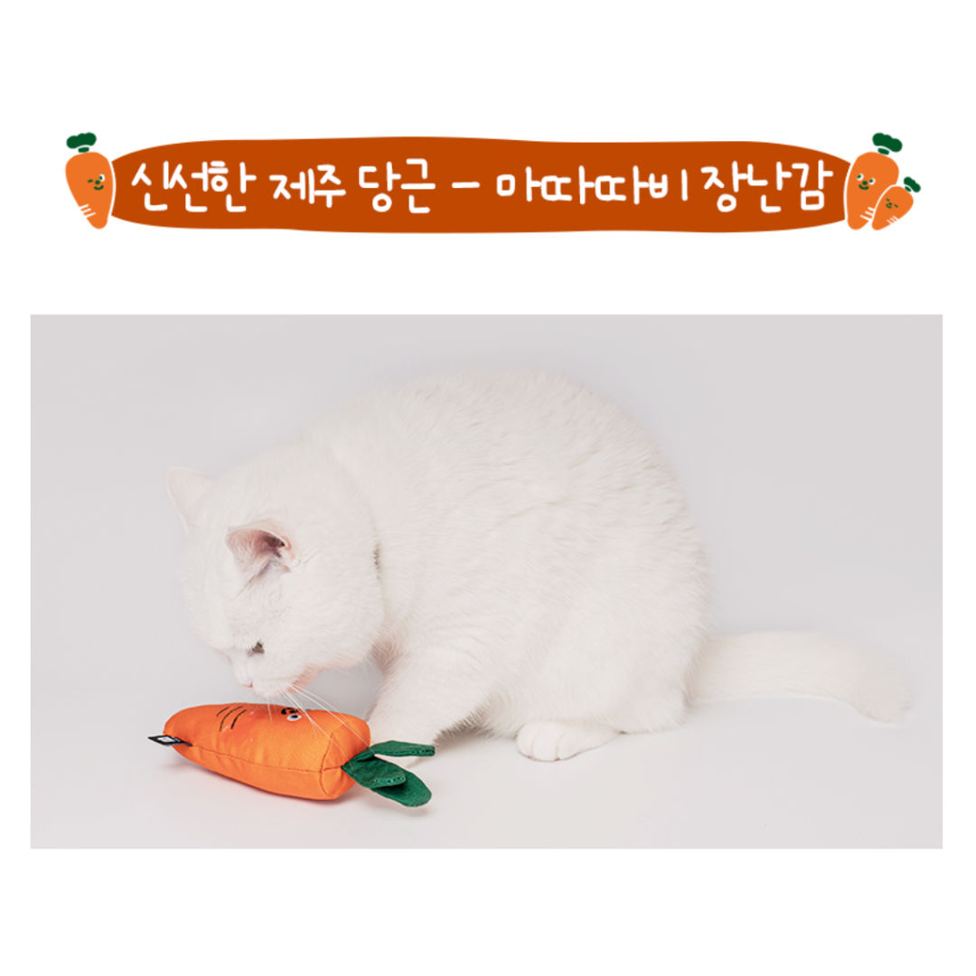 Carrot Catnip Toy