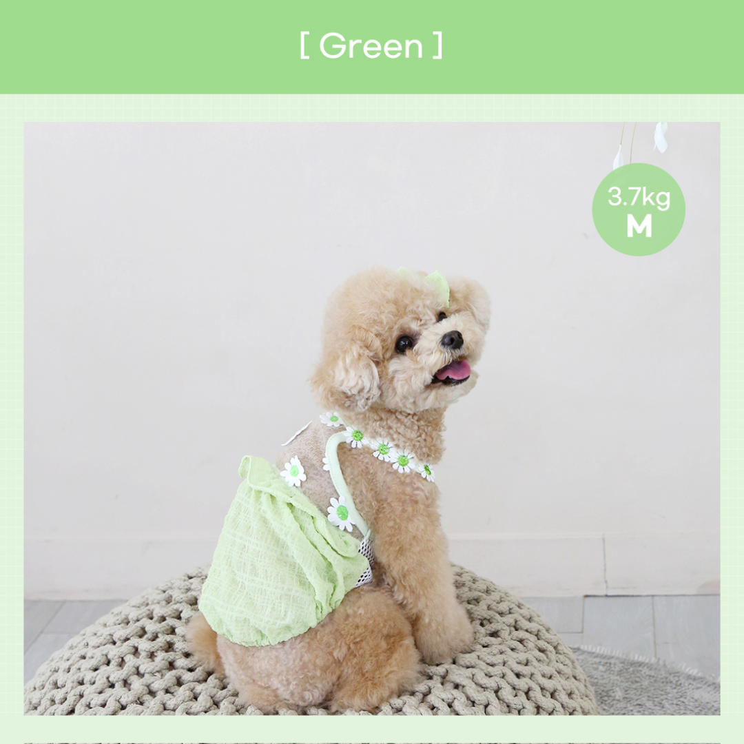 Daisy Balloon Pet Dress