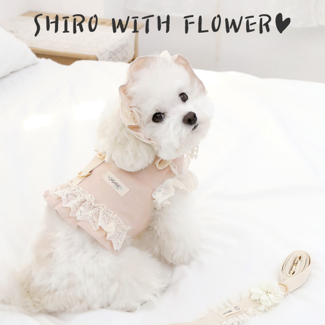 Organic Flora Harness