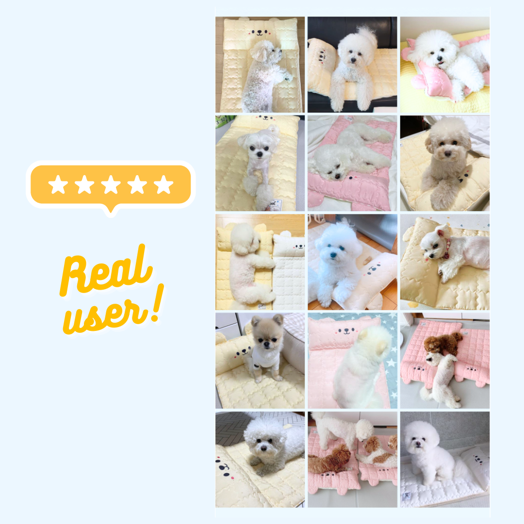 Smiley Bear Pet Cooling Mat (Single Color)