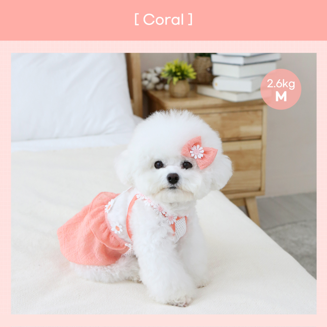 Daisy Balloon Pet Dress