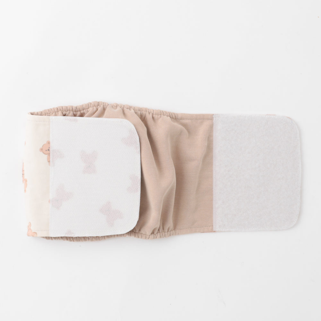 Teddy Bear Dog Sanitary Pants (boy)