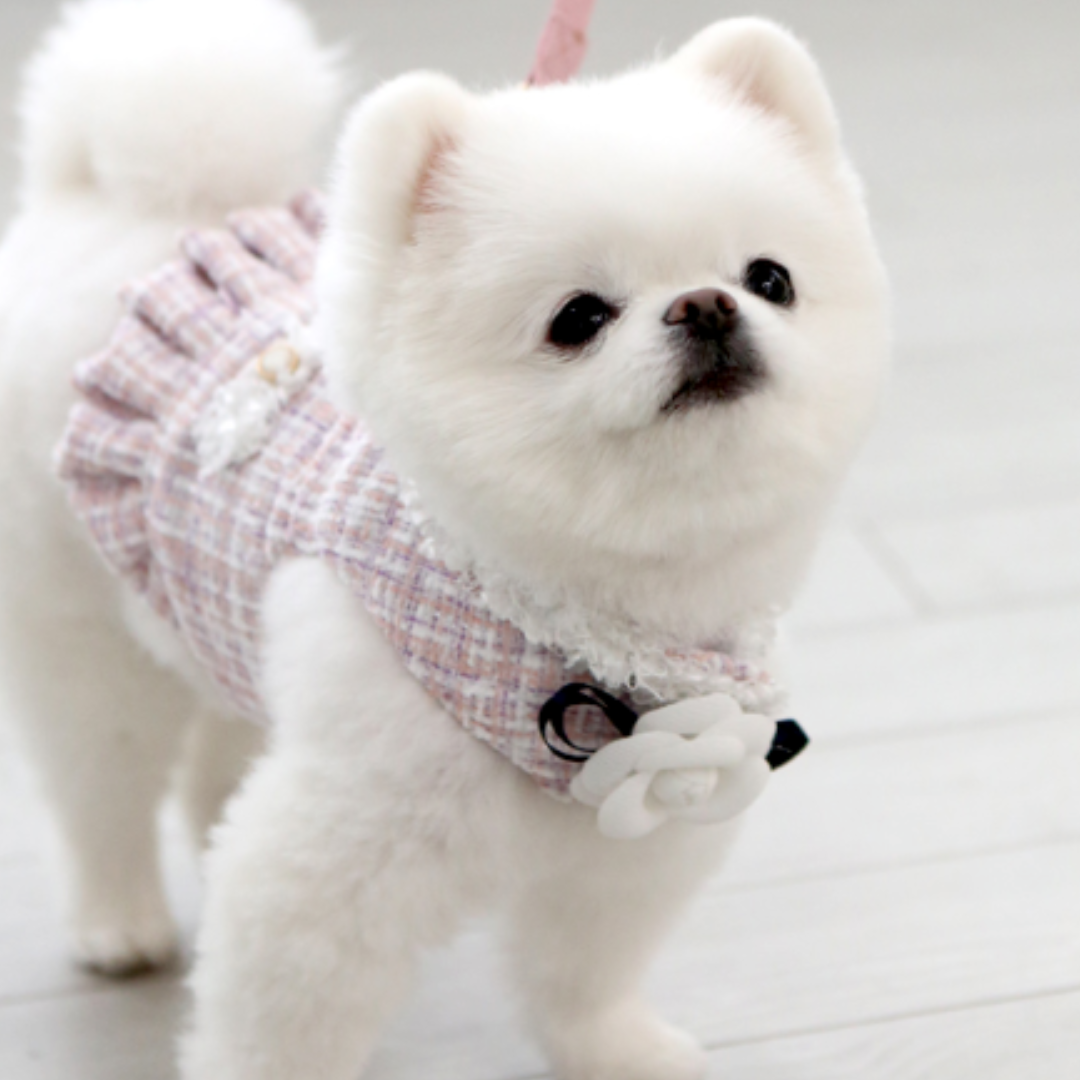 Camellia Tweed Harness