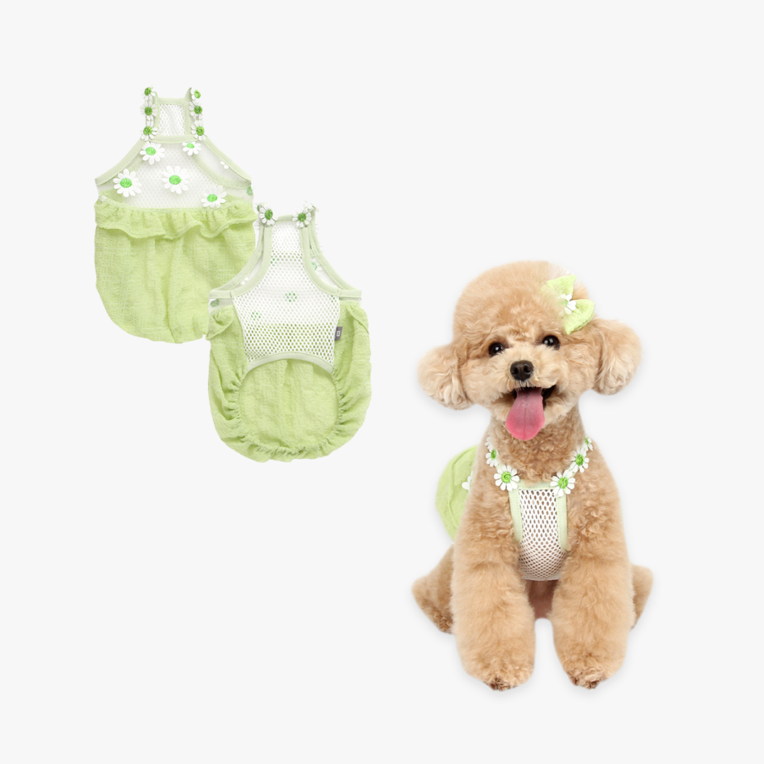 Daisy Balloon Pet Dress