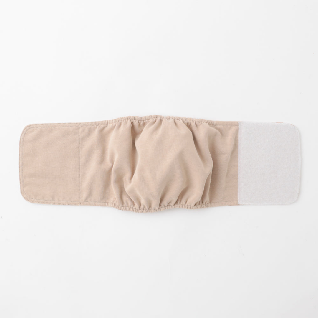 Teddy Bear Dog Sanitary Pants (boy)
