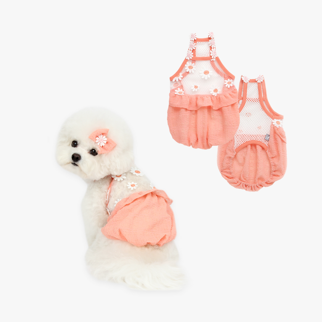 Daisy Balloon Pet Dress