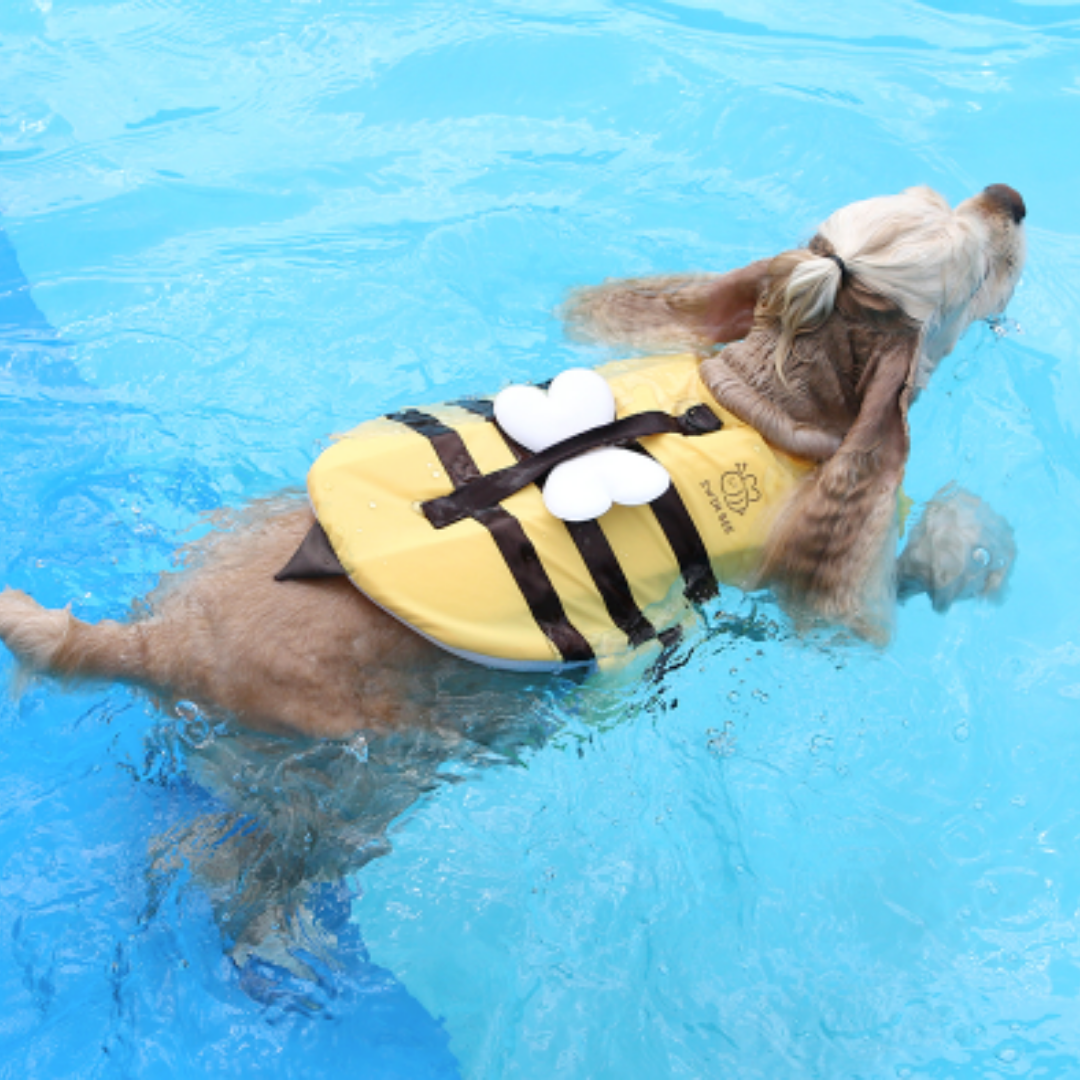 Honey Bee Pet Life Jacket