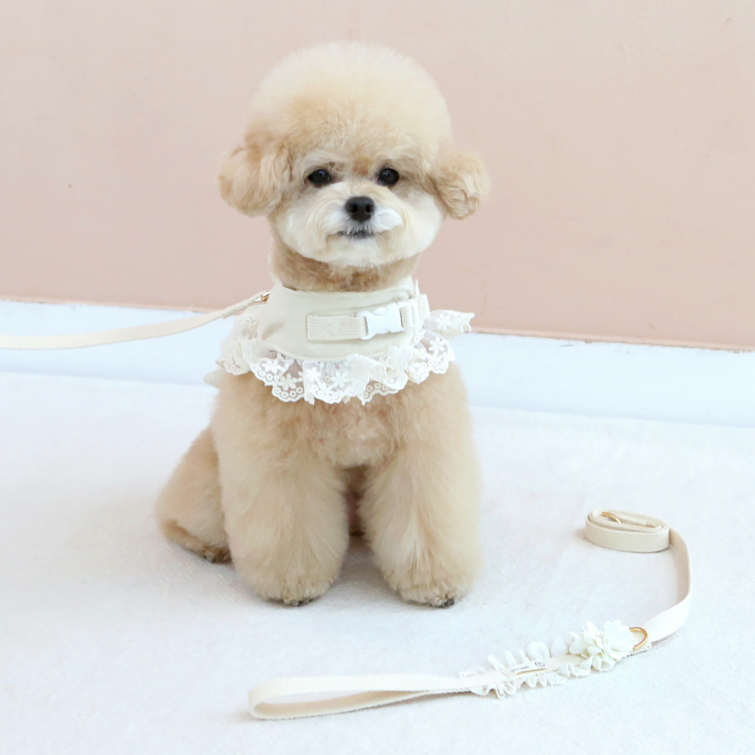 Organic Flora Harness