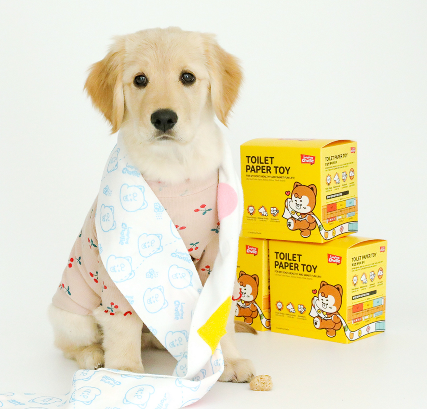 Toilet Paper Nose Work Pet Toy