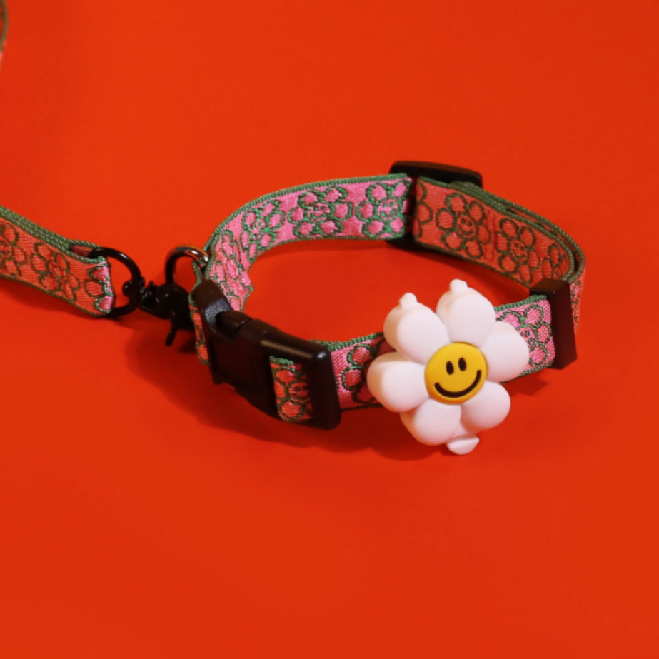 Pet Night Walk LED - Smile Flower