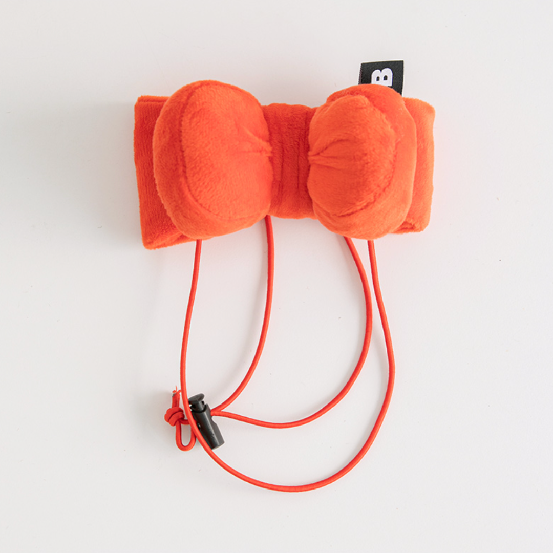 Cute Ribbon Pet Toy
