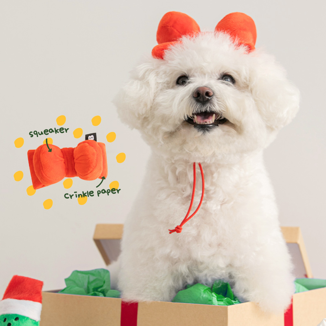 Cute Ribbon Pet Toy