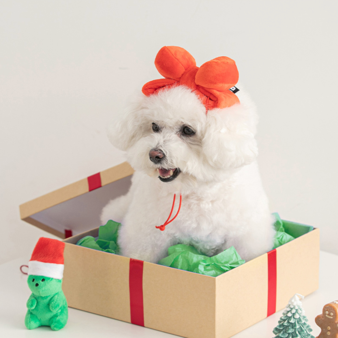 Cute Ribbon Pet Toy