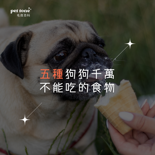 【狗狗冷知識】五種狗狗千萬不能吃的食物