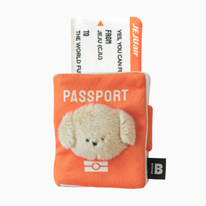 Passport & Boarding pass Nosework Pet Toy (Set of 2)