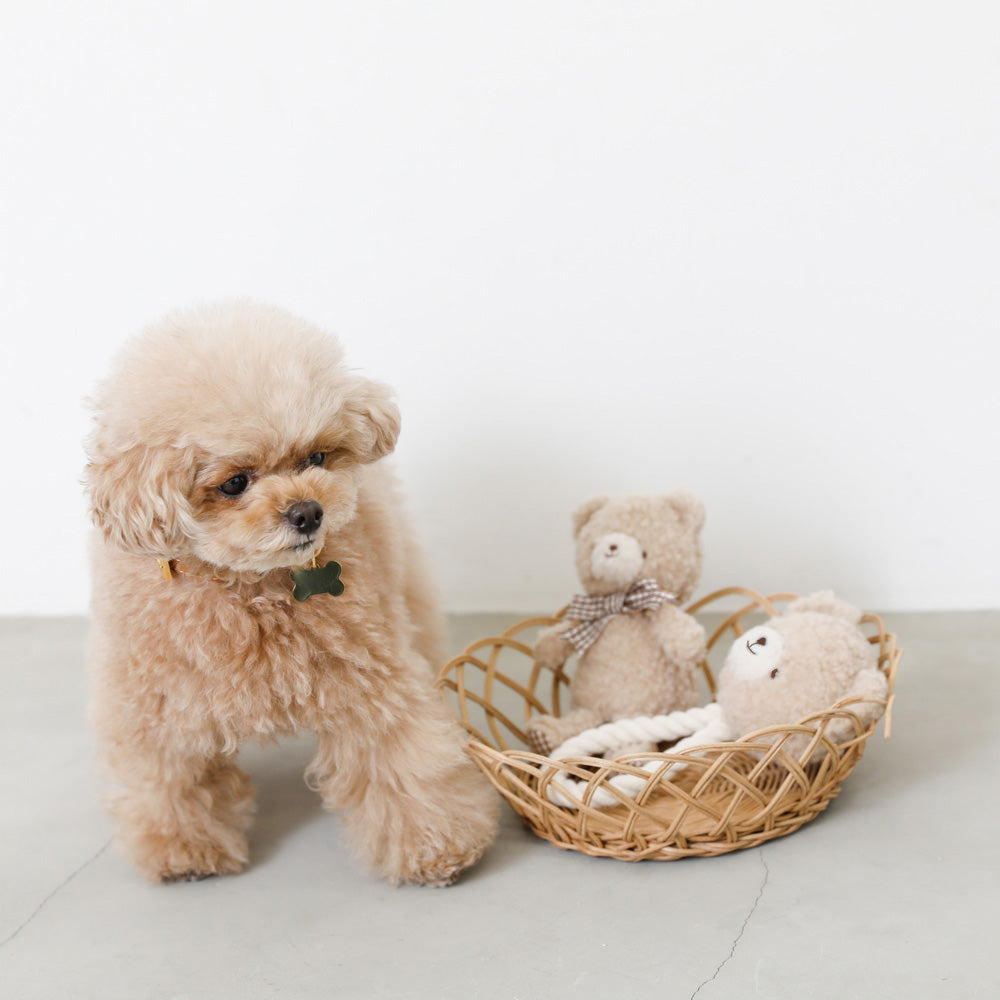 Teddy Bear Rope Pet Toy