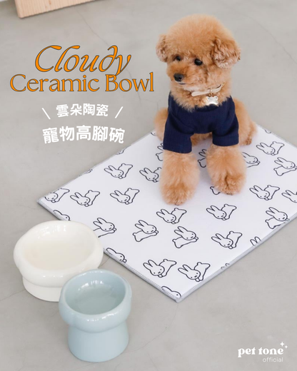 Cloud Ceramic Food Bowl