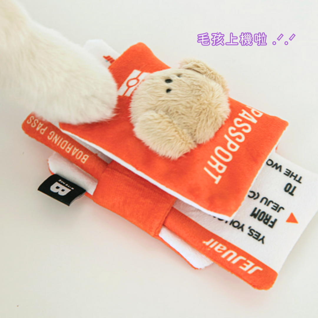 Passport & Boarding pass Nosework Pet Toy (Set of 2)